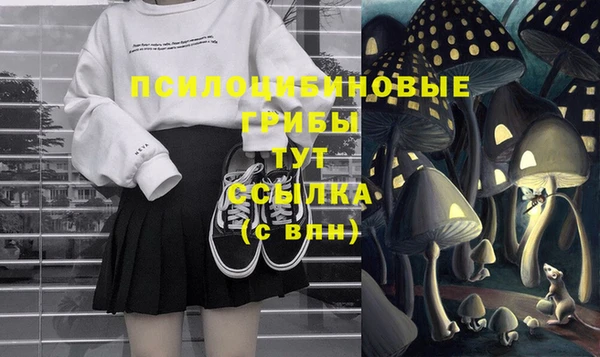 крисы Краснослободск