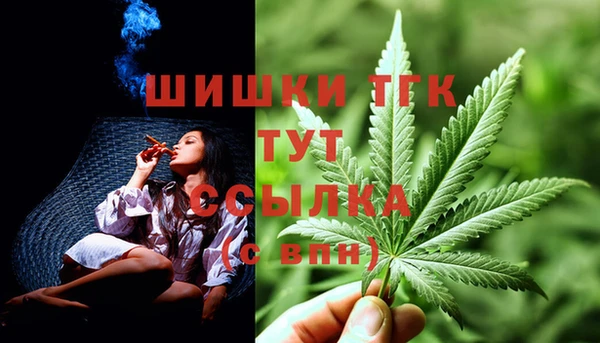 крисы Краснослободск