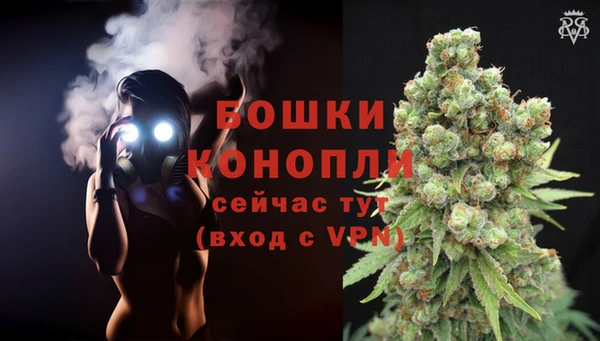 крисы Краснослободск