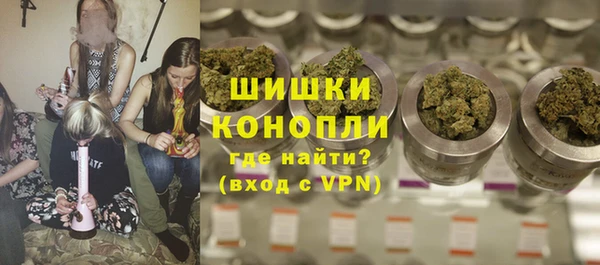 крисы Краснослободск