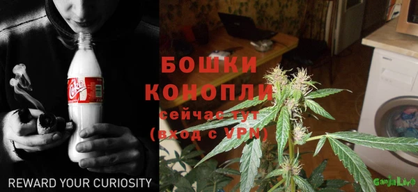 крисы Краснослободск