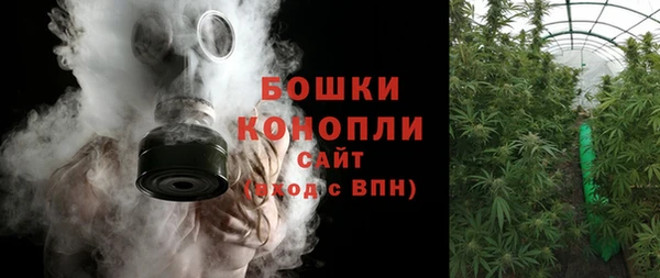 крисы Краснослободск