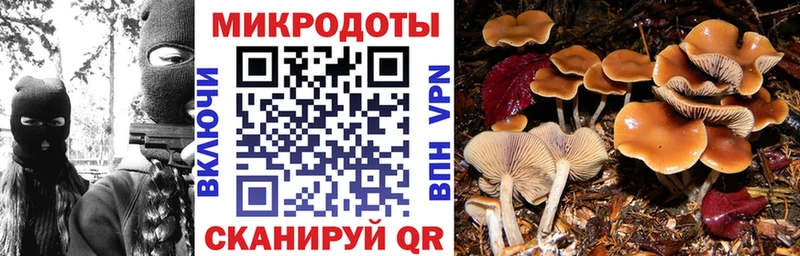 Купить  Красноуфимск  Галлюциногенные грибы Psilocybe 